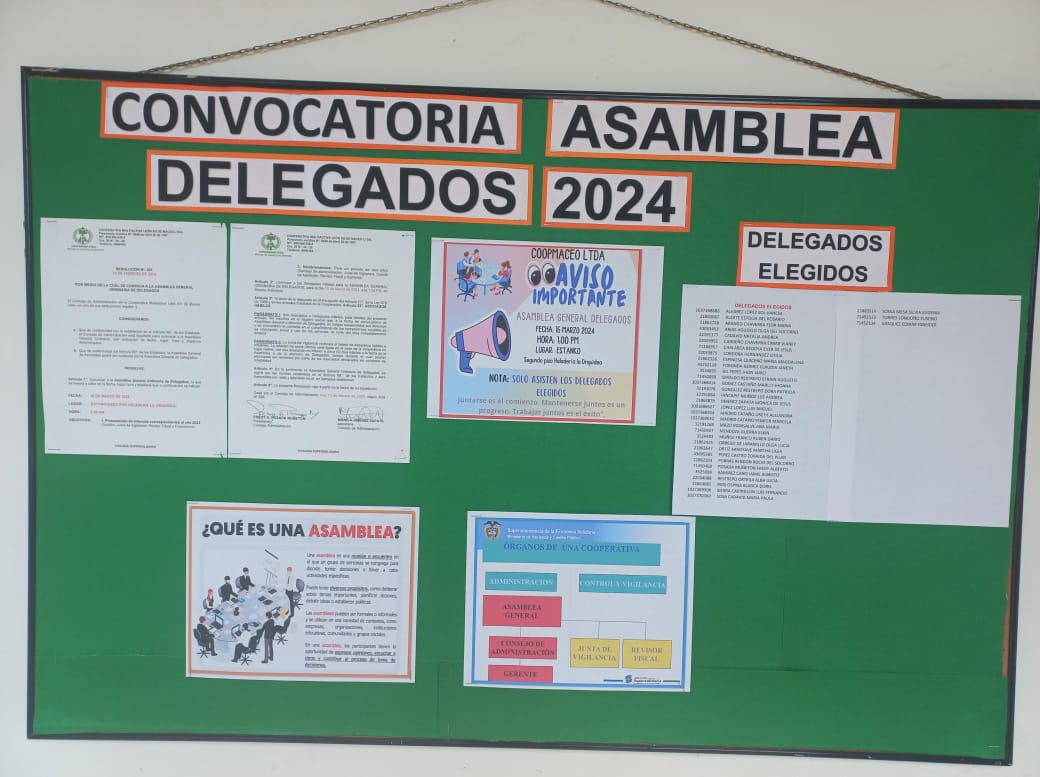 Convocatoria asamblea delegados 2024